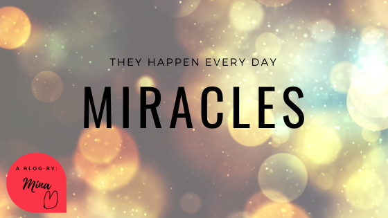 Miracles Happen Every Day